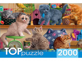 TOPpuzzle. ПАЗЛЫ 2000 элементов. ХТП2000-1596 Смешные котята в зоомагазине купить оптом и в розницу на базе игрушек