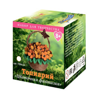 Топиарий Цветочная фантазия купить оптом и в розницу на базе игрушек