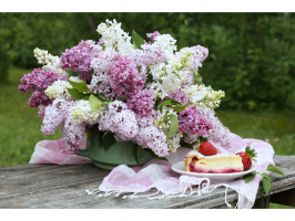 Холст с красками 40х50 см по номерам (в коробке) (30цв.) Сирень и кусочек пирога (Арт.Х-4640) купить оптом и в розницу на базе игрушек