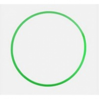 Обруч ( d 80см ) облегченный ( салатовый ) У846 купить оптом и в розницу на базе игрушек